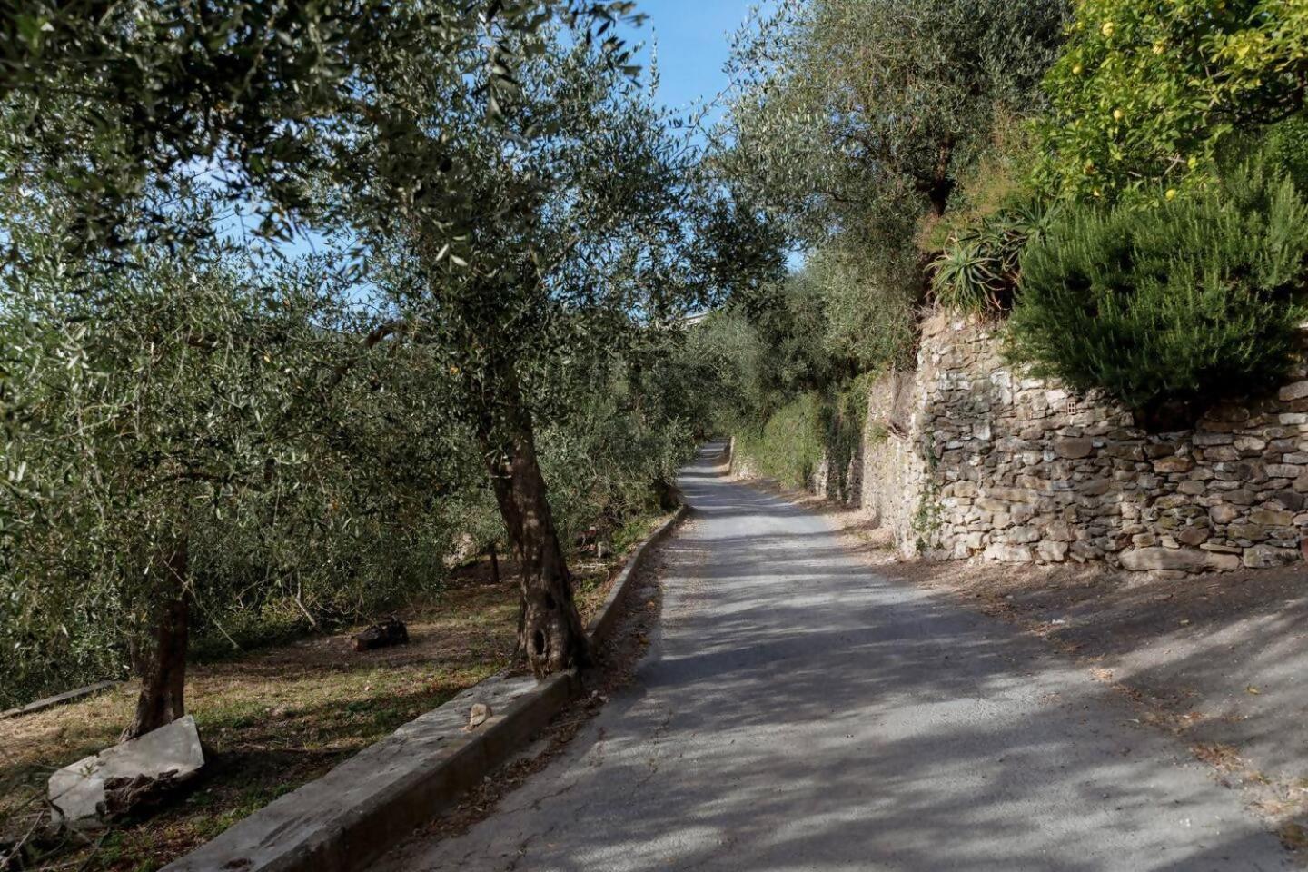 Appartamento Alba Dachi Farm Andora Экстерьер фото