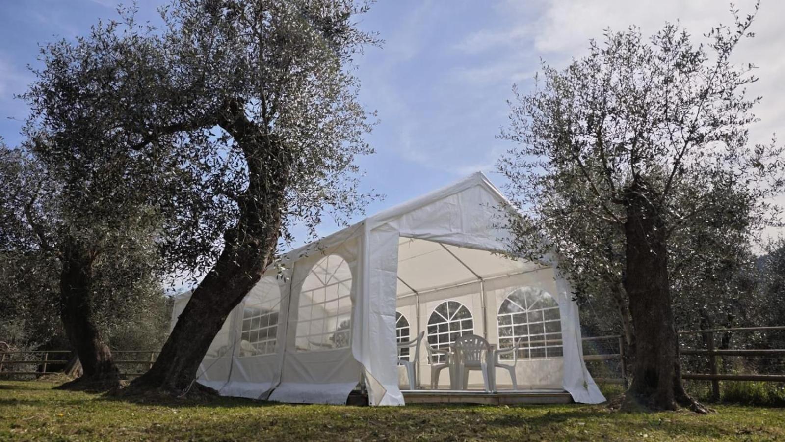 Appartamento Alba Dachi Farm Andora Экстерьер фото