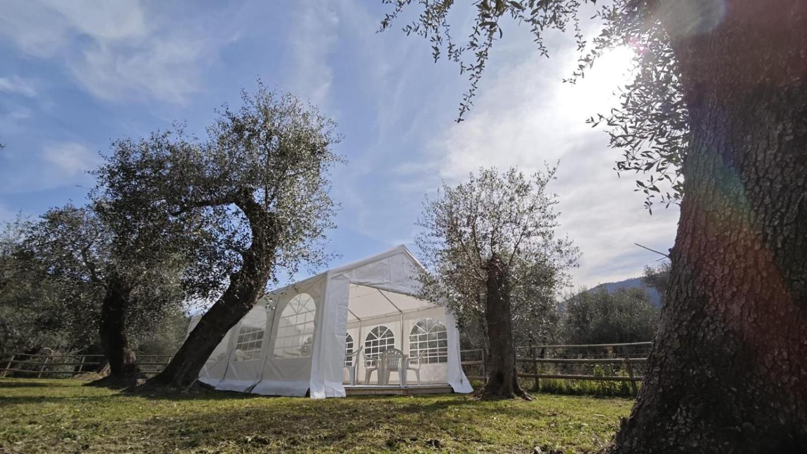 Appartamento Alba Dachi Farm Andora Экстерьер фото
